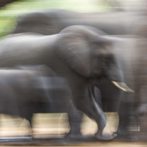 Blur of Giants