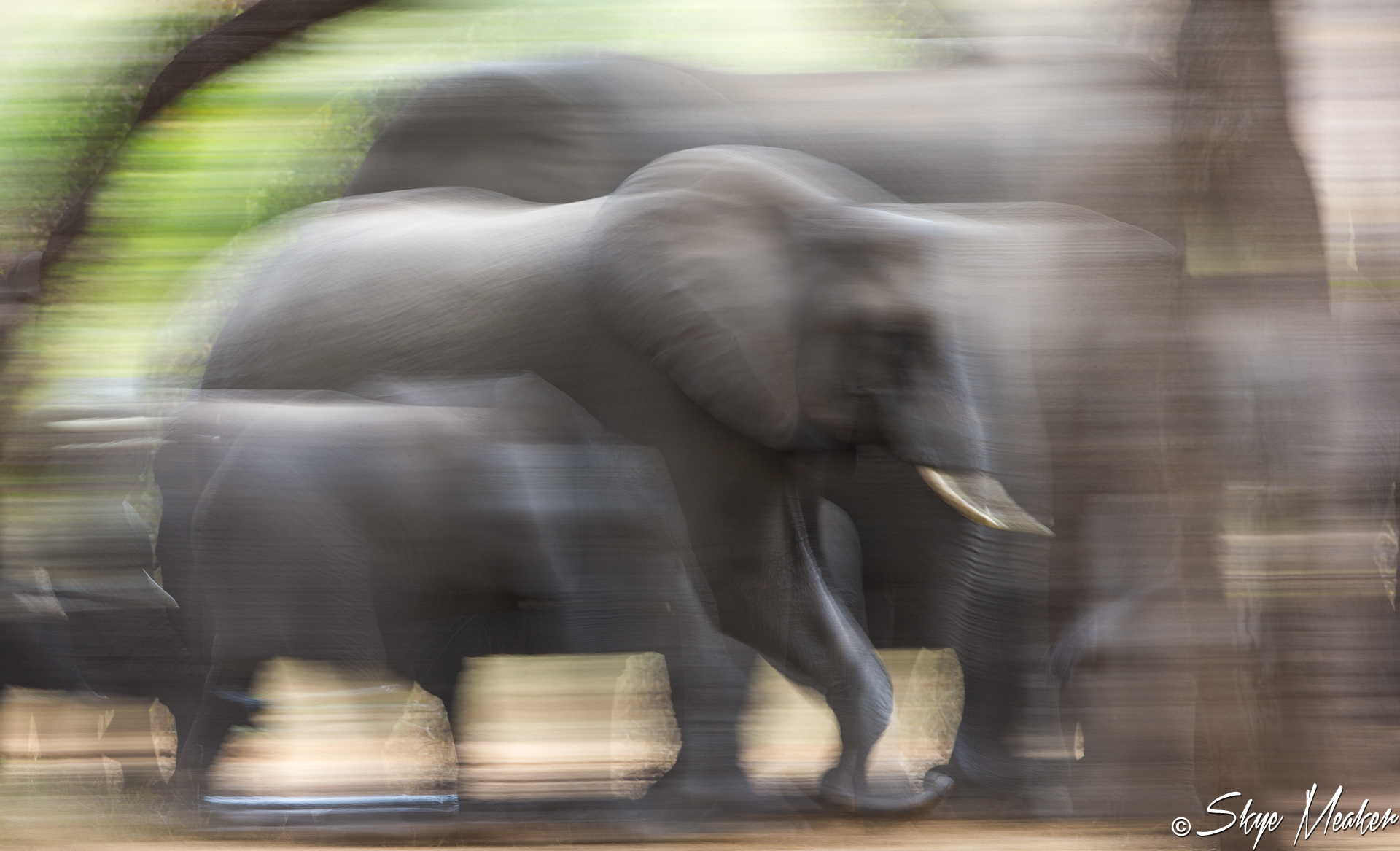 Blur of Giants