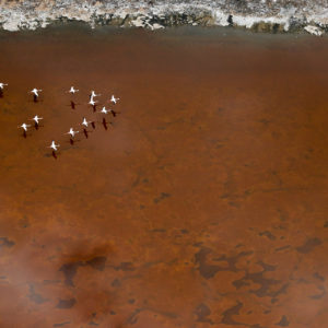 Flying in Formation